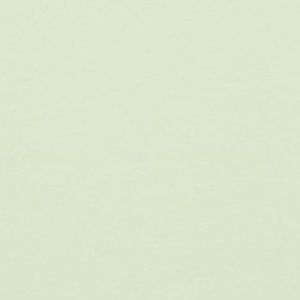 Meet your Posher, Faryn